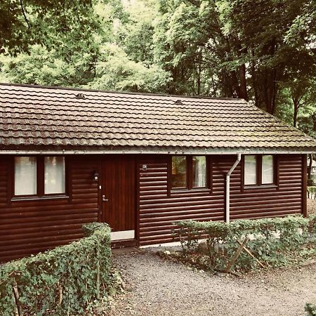 Chalet234 In La Boverie Rendeux Eksteriør billede